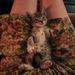 Profile Picture of Stephanie Gould (@fannyelizabeth) on Pinterest