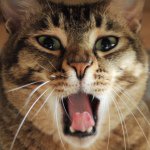 Profile Picture of Terry Wong (@terry_wkc) on Instagram