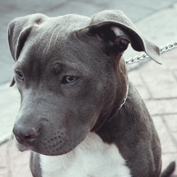 Profile Picture of Tim Cobb (@tcobb7) on Poshmark