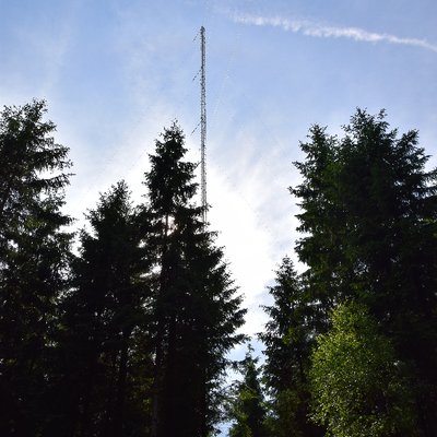 Profile Picture of Hyltemossa Research Station, LU (@SE_Htm) on Twitter