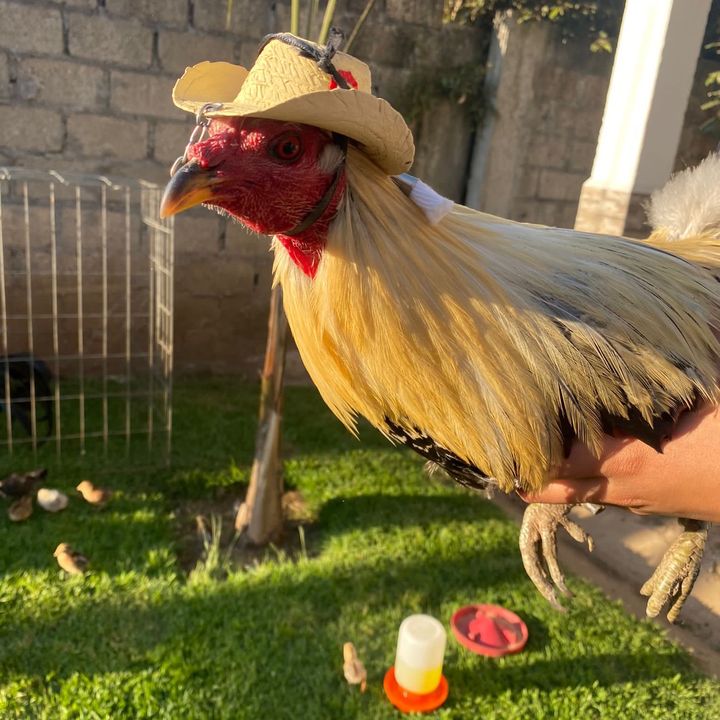 Profile Picture of luciaabrego73 (@luciaabrego73) on Tiktok