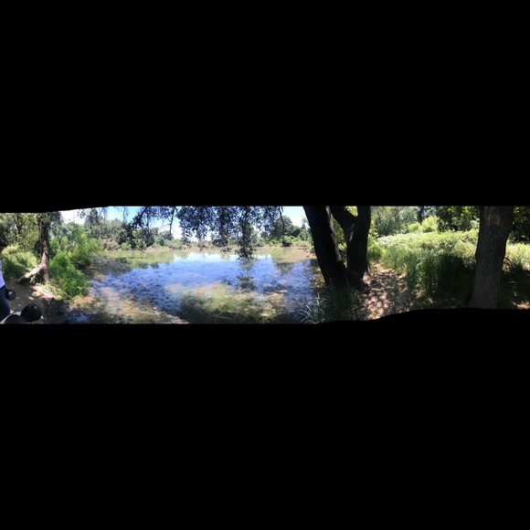 Profile Picture of Patricia Graciliano (@patty_emyldz) on Poshmark