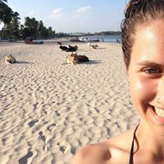 Profile Picture of Alex Skolnick (@@alexskolnick) on Tiktok