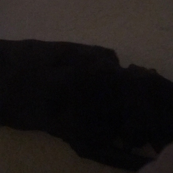 Profile Picture of Steven Pacheco (@usmcpach) on Poshmark