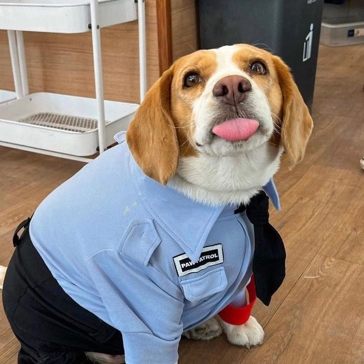 Profile Picture of Elli Herring (@@elliherring) on Tiktok