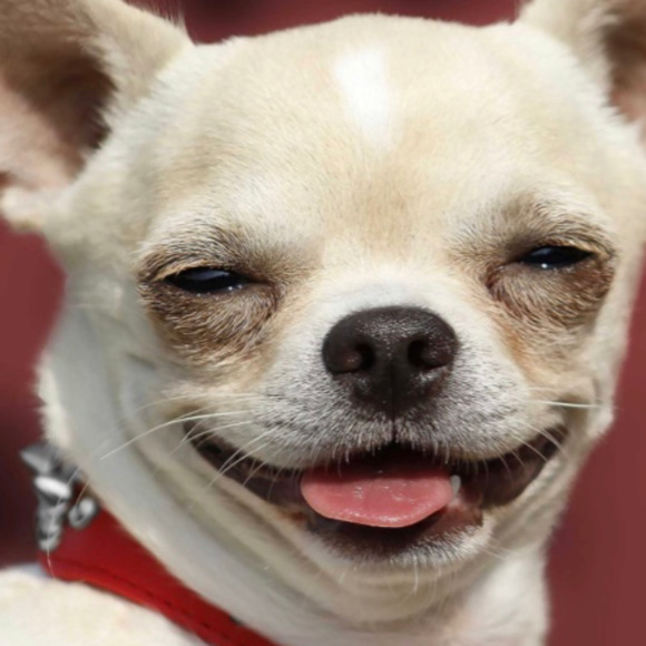 Profile Picture of Cleo Mavis (@cleomavis101) on Poshmark