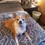 Profile Picture of Sheryl Sturm (@sheryl.sturm) on Facebook