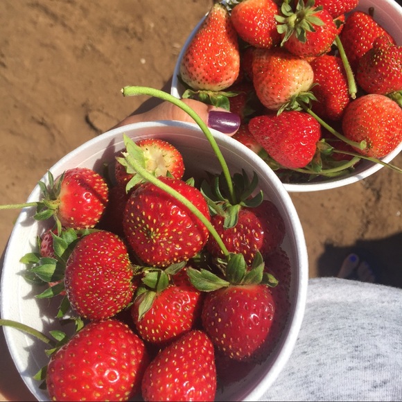 Profile Picture of Lorena Madrigal (@mirlej) on Poshmark