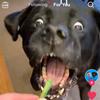Profile Picture of Tyler Lumb (@tyler22802) on Tiktok