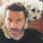 Profile Picture of Michael Stanley (@michaelstanley28) on Instagram