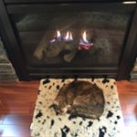 Profile Picture of Dawn Rosenthal (@rosenkatza) on Instagram