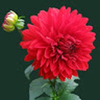 Profile Picture of Swati Mokare (@swati-mokare) on Quora