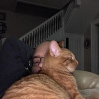 Profile Picture of Chad Wagner (@chad-wagner-16) on Quora