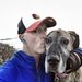Profile Picture of Marc Datnow (@marcdatnow) on Pinterest