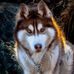 Profile Picture of Randy Kermoade (@randy.kermoade.7) on Facebook