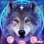 Profile Picture of Darcy Duncan (@darch55) on Instagram