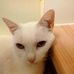 Profile Picture of Rosemary Daniels (@rosemary.daniels.562) on Facebook