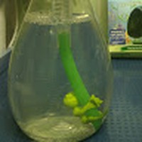 Profile Picture of Caro Bianca (@caro-bianca) on Quora