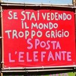Profile Picture of Daniele Ciccarello (@daniele.ciccarello1) on Instagram