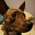 Profile Picture of Zero_boom (@zero_boom) on Flickr