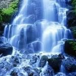 Profile Picture of 張永明 (@yongming.zhang) on Instagram