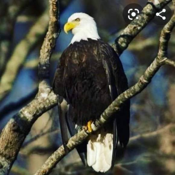 Profile Picture of Michael Mcgee (@michaelmcgee648) on Poshmark