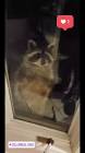 Profile Picture of   an please leave that lil... (@milligram614) on Tiktok