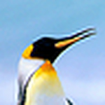 Profile Picture of Jason Brant (@jbnaturelover28) on Flickr
