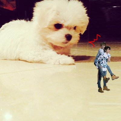 Profile Picture of Naomi🐯❤🐹 (@dong_nao) on Twitter