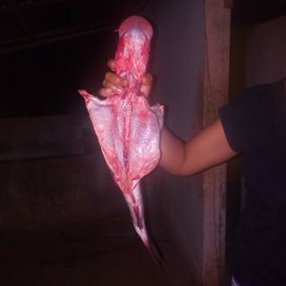 Profile Picture of David Barrera (@David-Barrera) on Facebook