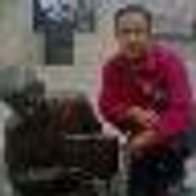 Profile Picture of Javier Zermeño :-) (@javivis18) on Twitter