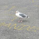 Profile Picture of Bo Edlund (@bo.edlund.90) on Instagram