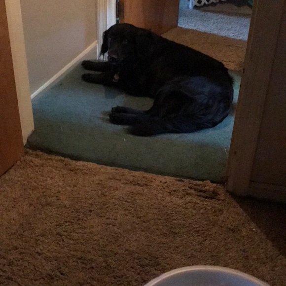 Profile Picture of Nina Boxler (@iluvcisco) on Poshmark