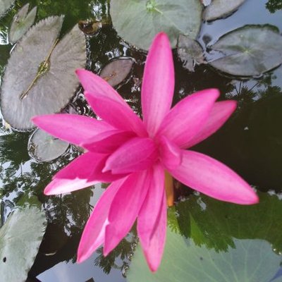 Profile Picture of Peter HAUSER (@PeterHA79686814) on Twitter