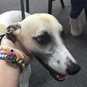 Profile Picture of Julia Trent (@BearsLovelyLife) on Youtube