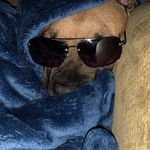 Profile Picture of Chris Waples (@kristen2703) on Instagram