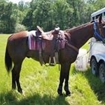 Profile Picture of Brandon Raynes (@brandonraynes) on Instagram