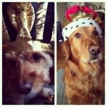 Profile Picture of Billy Jean & Theodore Augustus (@bill_and_teds_adventures) on Instagram