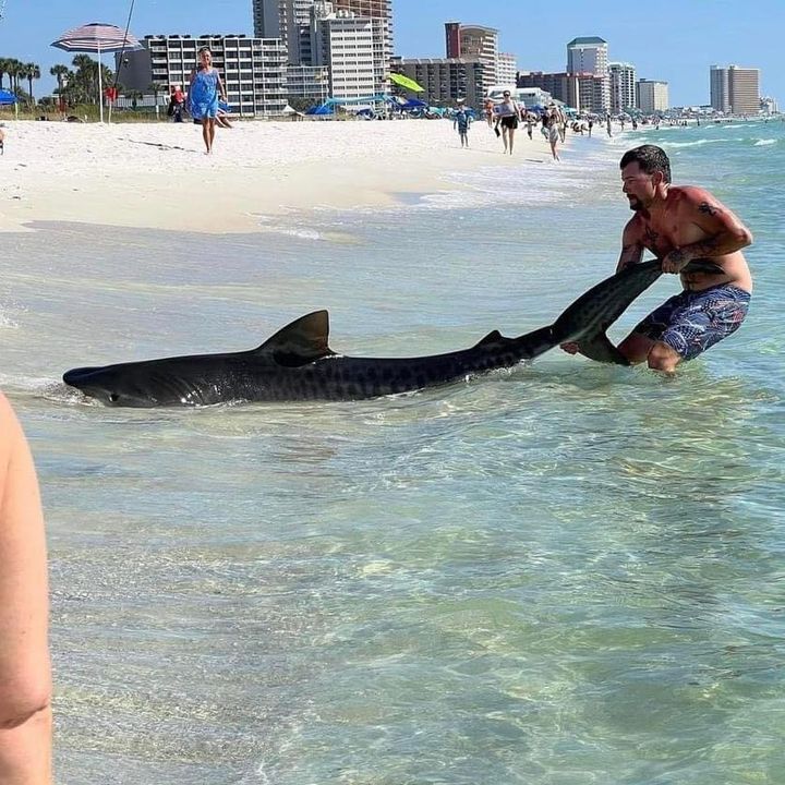 Profile Picture of Joshua Smith (@joshuasmith223) on Tiktok