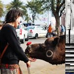 Profile Picture of Luci Paz Casares (@lucipazc) on Instagram