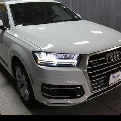 Profile Picture of Daniella Lam (@Daniellallam) on Twitter