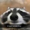 Profile Picture of Christian tuttle (@@stombone) on Tiktok
