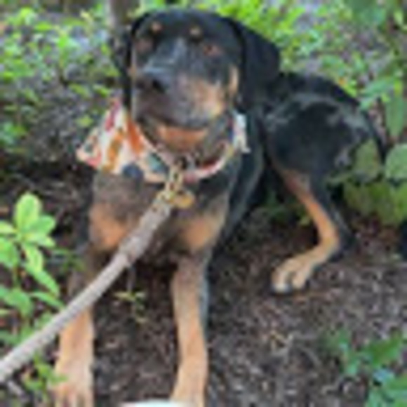 Profile Picture of Jake Vaughan (@jaakevon) on Poshmark