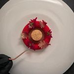 Profile Picture of Carly Frisch (@wcarly_frisch) on Instagram