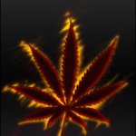 Profile Picture of Pete Ballskie (@8ballskie) on Instagram