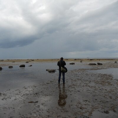 Stephen Empson - Twitter Profile Picture of Stephen Empson (@steveempson) on Twitter