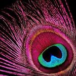 Profile Picture of Heidi and Debra (@tickled.pink.creations) on Instagram