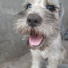 Profile Picture of MONICA POMPA (@MONICAPOMPA4) on Twitter