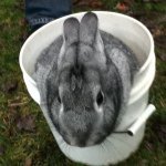 Profile Picture of Shane ilgenfritz (@shanei1245) on Instagram