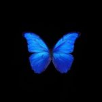 Profile Picture of Soe Min Aung (@andrew_dd_23) on Instagram